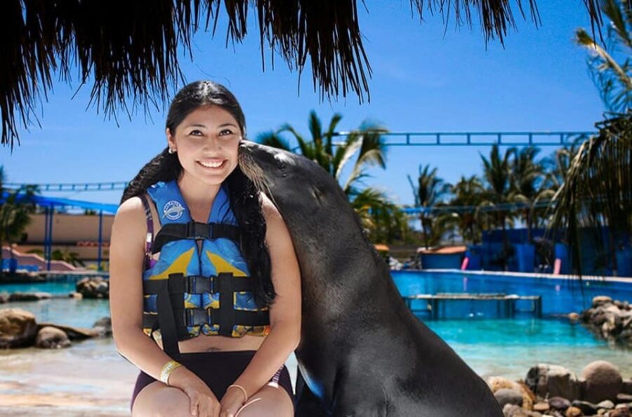 Nuevo Vallarta: Sea Lion Discovery at Aquaventuras Park