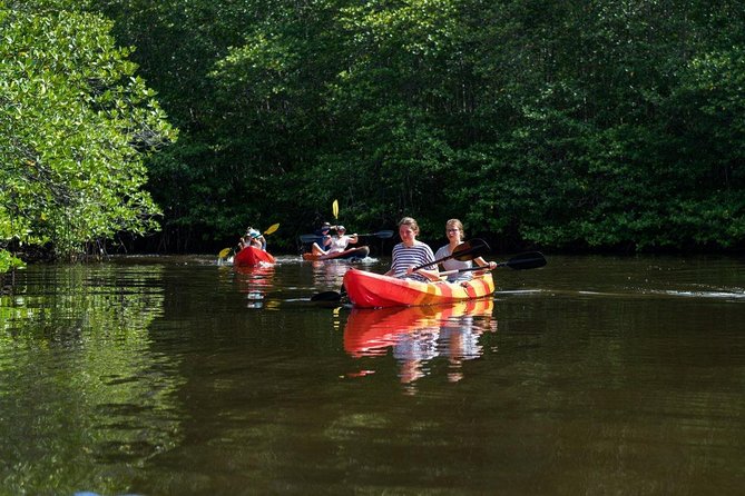 Nusa Lembongan Mangrove Kayaking or SUP With Local Transfers