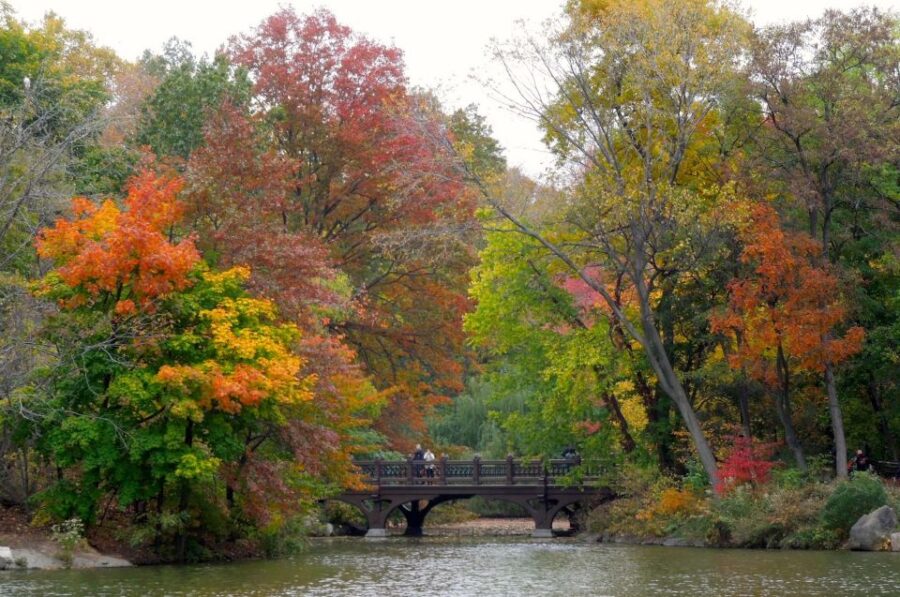 NYC: Central Park Hidden Gems Walking Tour - Tour Overview