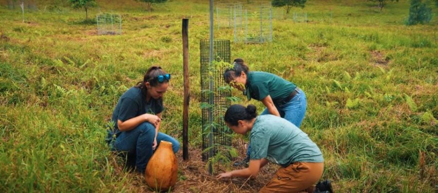 Oahu: Kualoa Ranch Malama Sustainability and Gardening Tour