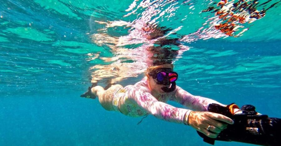 Oahu: Waikiki Jet Snorkeling Tour With Videos and Turtles