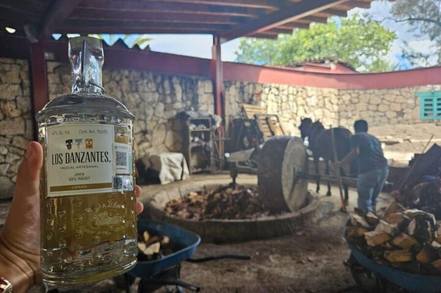 2 Best Lunch Experiences In Oaxaca De Juarez