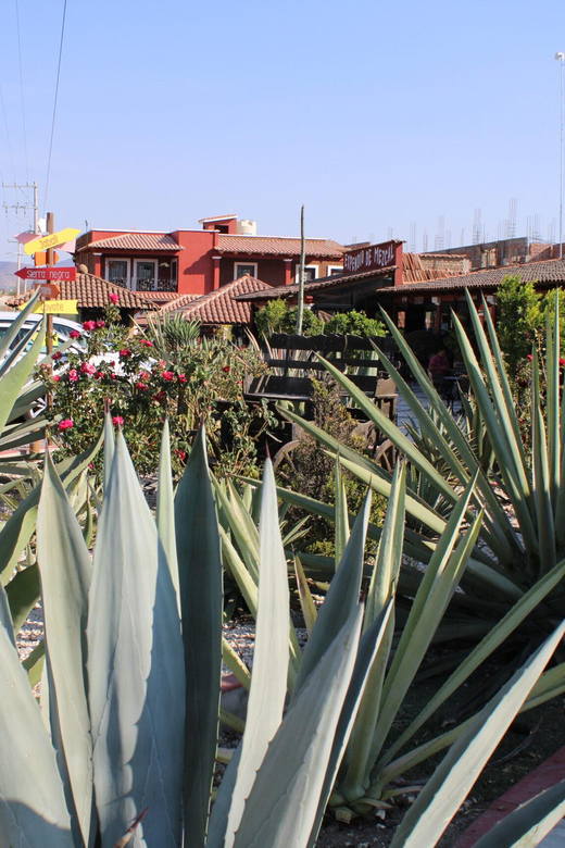 Oaxaca: Horseback Riding and Mezcal Tasting Tour - Tour Overview