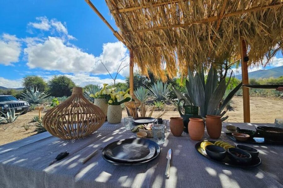 Oaxaca: Private Lunch in Maguey Fields With Mezcal Tasting - Culinary Experience