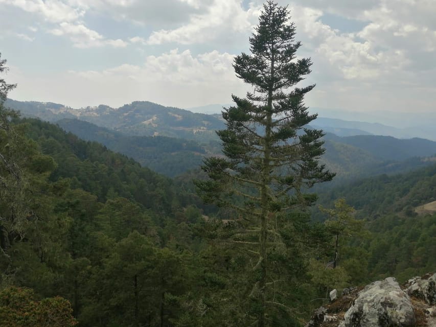 Oaxaca: Sierra Norte Tour With Zipline and Hanging Bridge