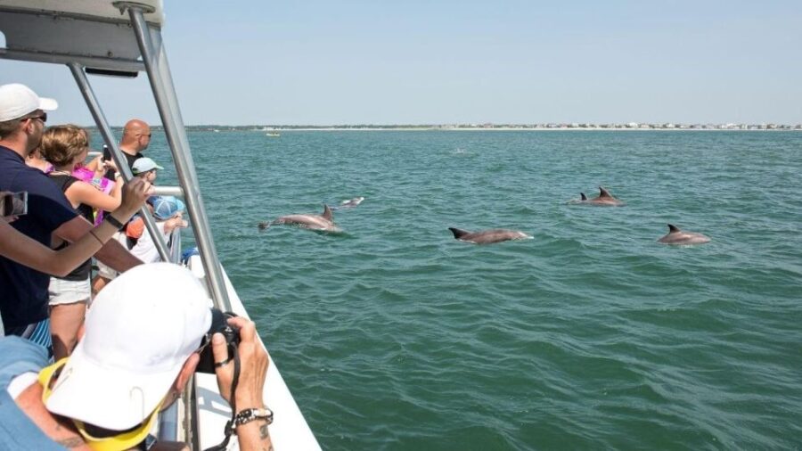 Ocean City, MD: Sea Rocket Sunset Cruise & Dolphin Watch