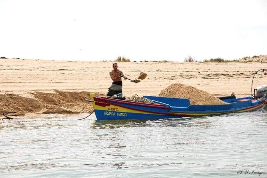 Olhão: Ria Formosa 3 Islands Guided Day Trip by Boat - Tour Overview and Pricing