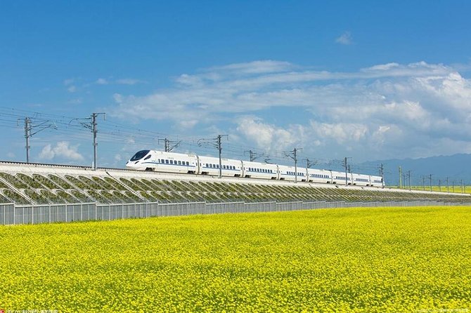 One Day Chengdu Xian Tour by Bullet Train