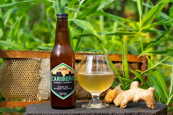 One Hour Wine, Beer, and Mead Guided Tasting in Costa Rica'S Central Valley