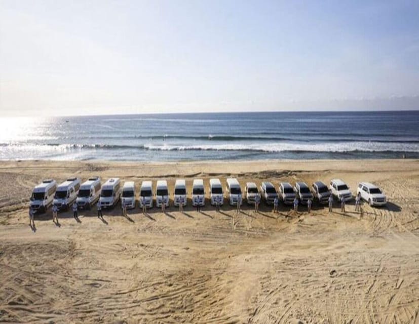 ONE WAY TRIP: AIRPORT HOTEL or HOTEL AIRPORT