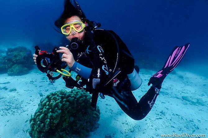 Open Water Scuba Certifiication Course With Beach Dives