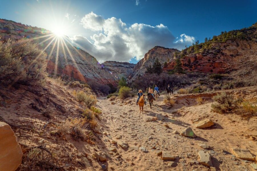 Orderville: East Zion Park White Mountain Horseback Tour