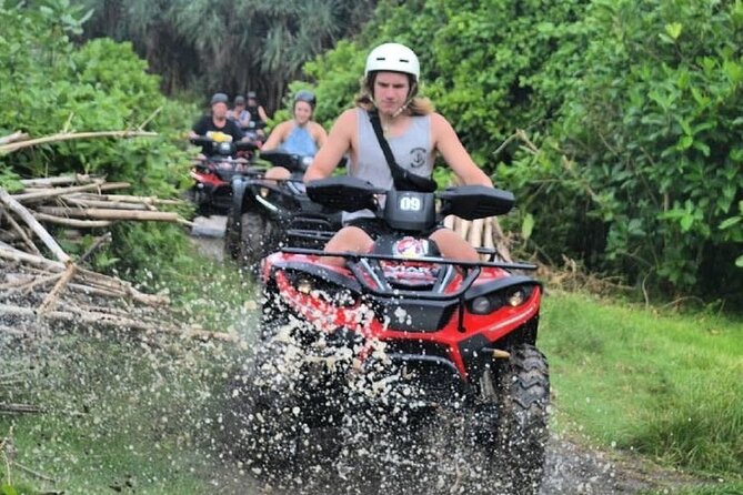 Organic Farm Cooking Class in Ubud With Bali Swing - Overview of the Experience