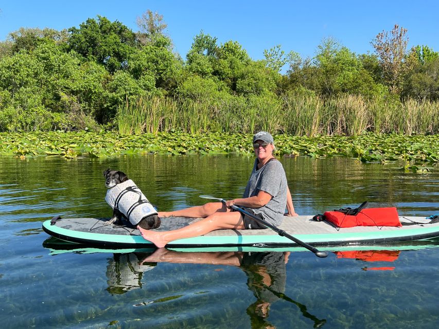 Orlando: Paddle With Pups in Paradise - Paddleboard or Kayak