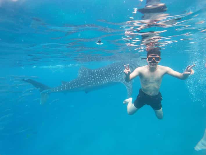 OSLOB WHALE SHARK & KAWASAN CANYONEERING - Activity Overview