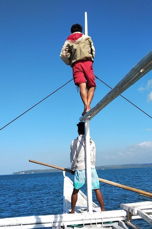Oslob Whale Shark Watching and Sumilon Sandbar Tour