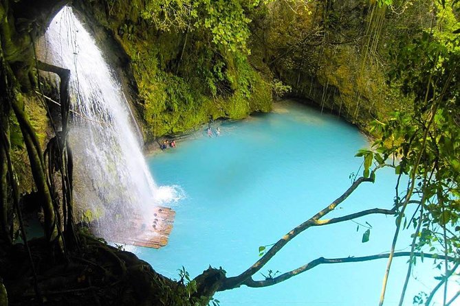 Oslob Whale Shark Watching + Canyoneering Adventure Tour