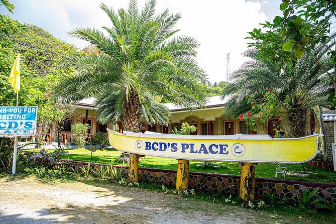 Oslob Whale Sharks and Moalboal Sardine Run, Sea Turtles Tour