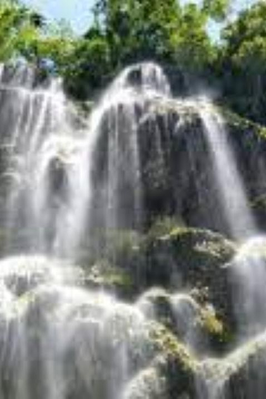 Oslob: Whaleshark Swimming, Tumalog Falls & Sumilon Island