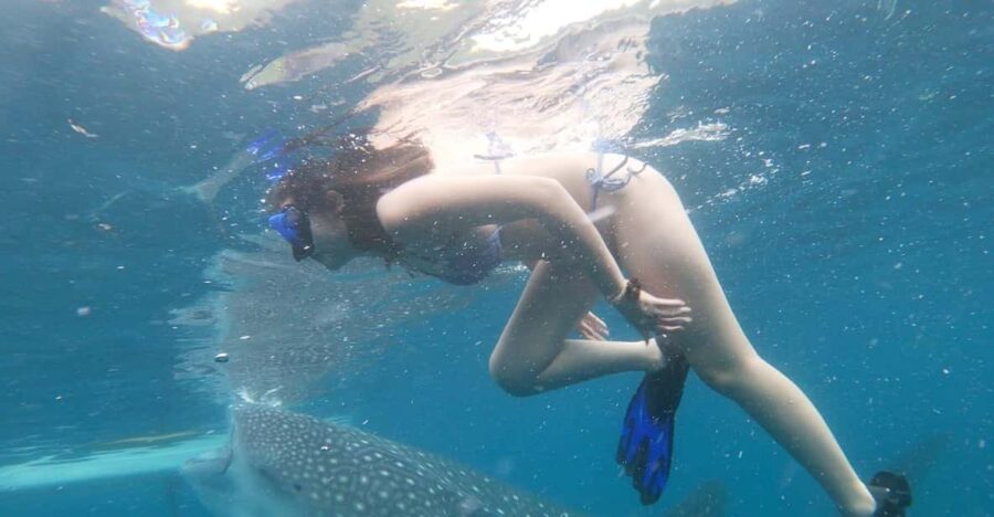 Oslob Whaleshark Watching & Inambakan Falls & Sardines Run