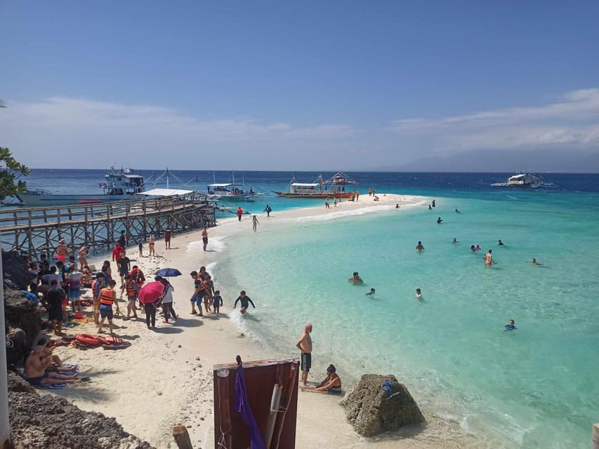 Oslob : Whaleshark Watching, Tumalog Falls & Sumilon Island