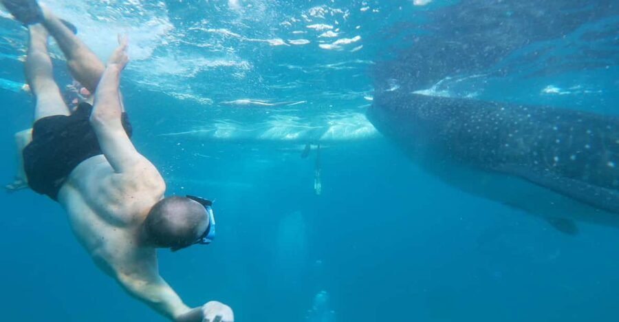 Oslob: Whalesharkwatching, Sumilon Sandbar & Cuartel Ruins