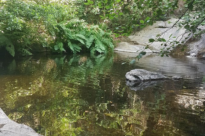 Over Water and Bird Songs