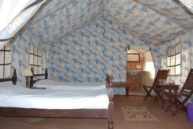 Overnight Camping With Camel Safari In Jodhpur