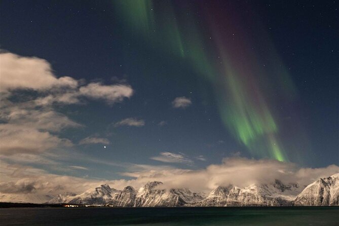 Overnight Northern Lights and Whale Safari