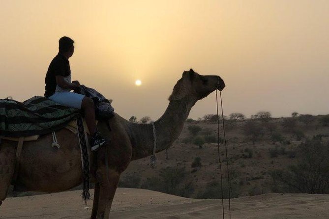Overnight Stay In Swiss Tent With Camel Safari & Folk Dance