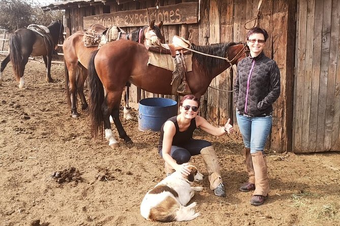 Pacific Horseback Ride on Beach and Sand Dunes - Horseback Riding Along the Beach