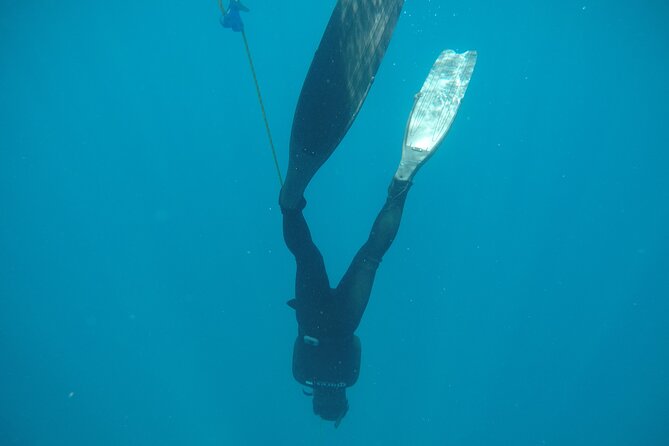 PADI Freediver Course