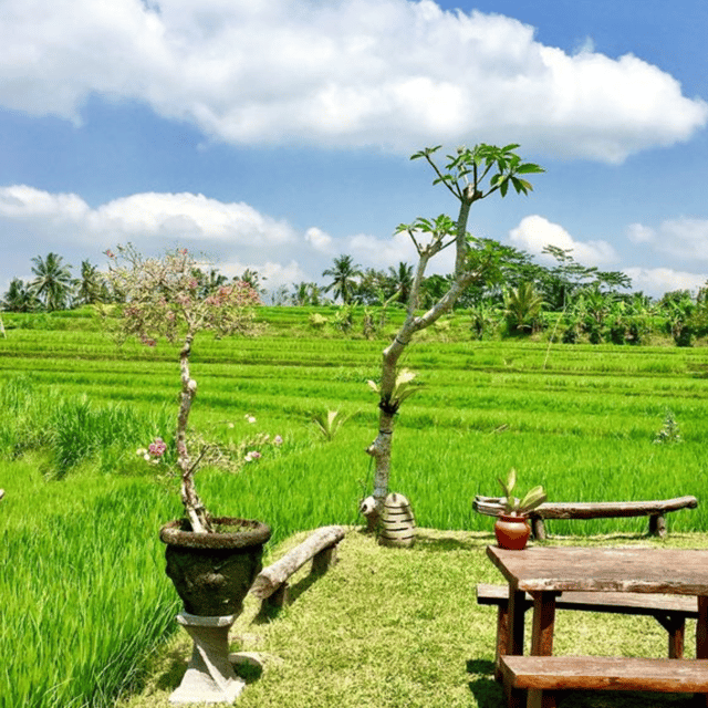 Palawan Inland Experience