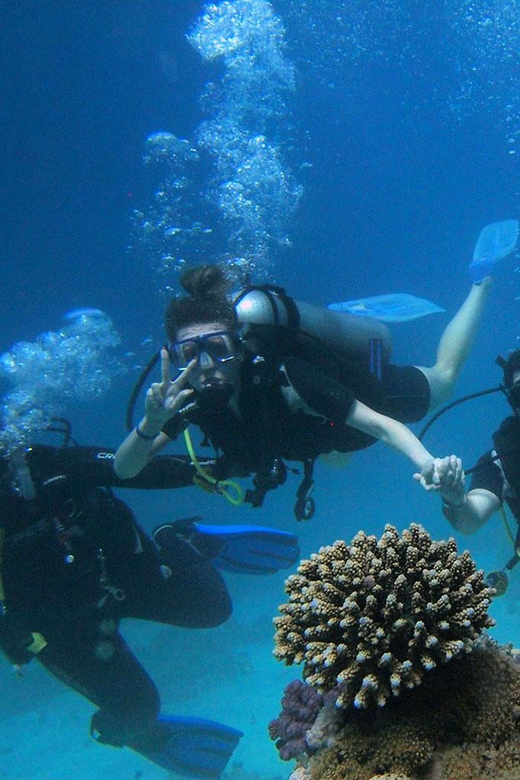 Panglao Bohol: Try Scuba Diving at Napaling and Sardines