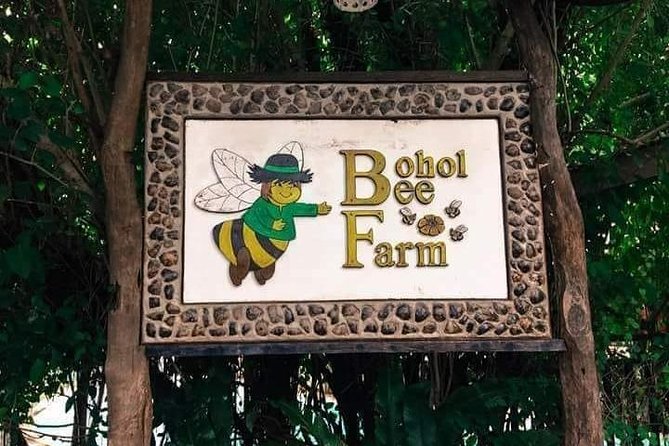 Panglao Island Bohol Day Tour (Hinagdanan Cave Dauis, Bohol Bee Farm)