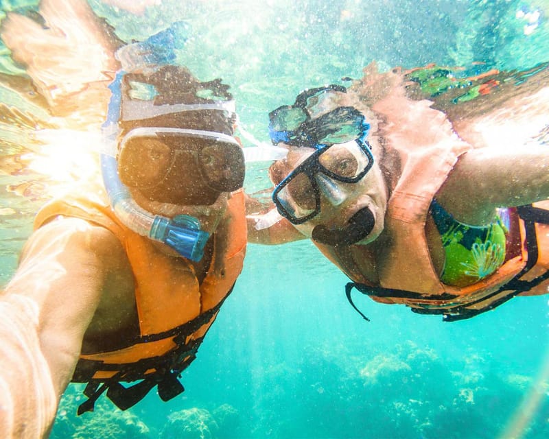 Panglao: Snorkeling at Napalingreef With Sardines Experience - Experience Overview