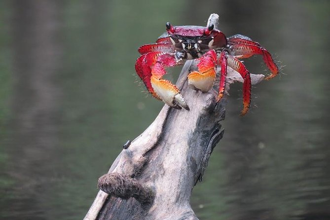 Paraty Sea Kayak Trip (2 Days)