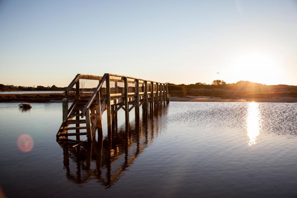 Pelican Sands Scamander Review