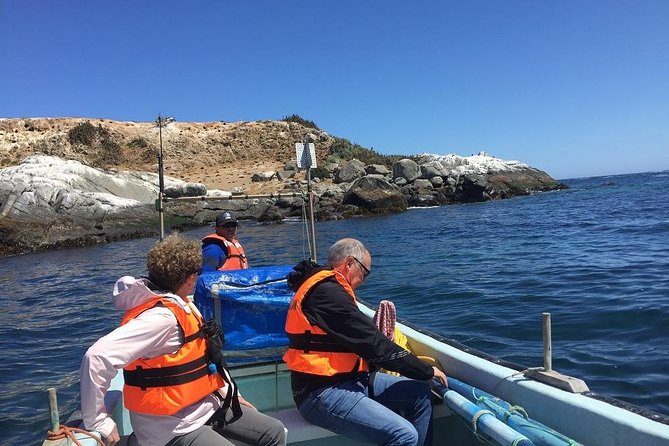 Penguins Watching-Navigation & HorseRide & Barbecue From Santiago - Included Experiences