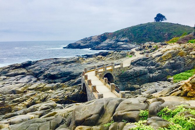 Penguins,Sea Lions,Sand Boarding,Paragliding Chilean Food &Drinks - Hiking and Sandboarding