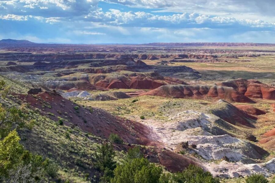 Petrified Forest National Park Self-Guided Audio Tour - Tour Overview