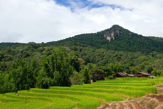 Pha Dok Siew Nature Trail & Doi Inthanon National Park From Chiang Mai