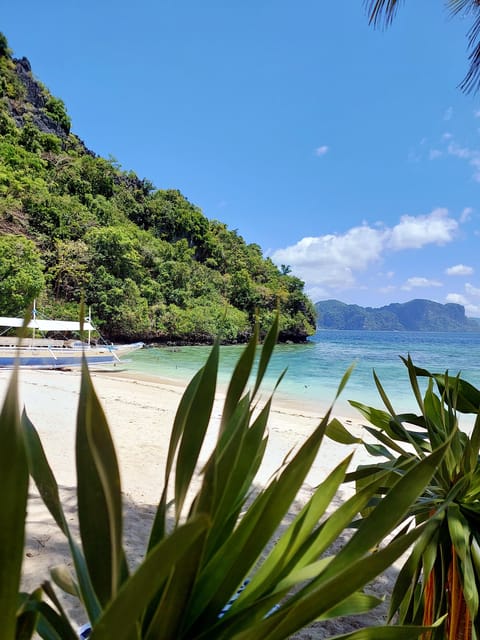 Philippines: the Magic of 7 Thousand Islands (4 Islands)