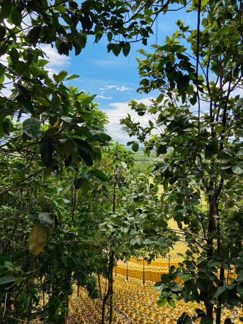 Phnom Penh: Buddha Kiri and Phnom Tamao Zoo Private Day Trip