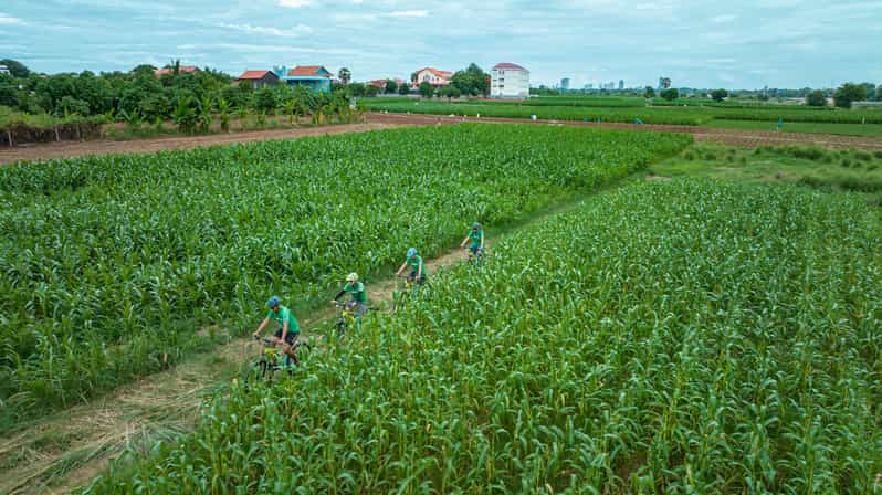 20 Best Full-Day Tours In Phnom Penh