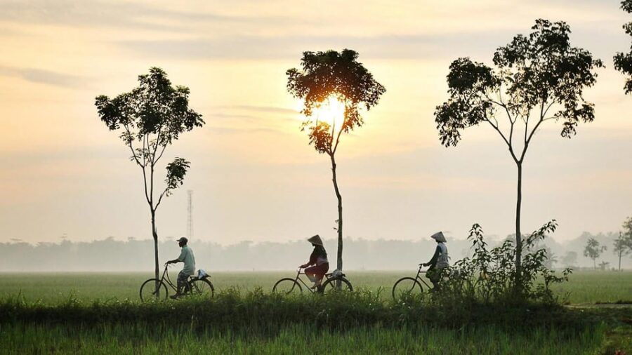 Phnom Penh: Silk Islands Bike Half Day by Private Tour