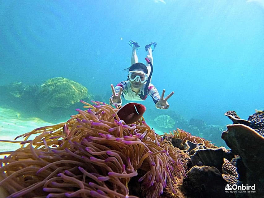 Phu Quoc: Pro Snorkeling to 3 Coral Reefs & Beach (MAX 12)