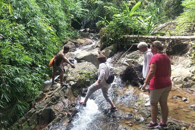 Phuket Jungle Trekking Experience at Khao Phra Taew National Park