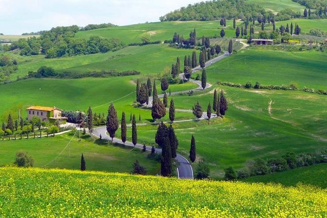 Pienza, Montalcino, Brunello Wine and Pecorino Cheese PRIVATE TOUR From FLORENCE