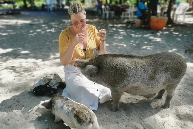 Pig Feeding, Kayaking, Snorkeling Trip at Pig Island By Speedboat From Koh Samui